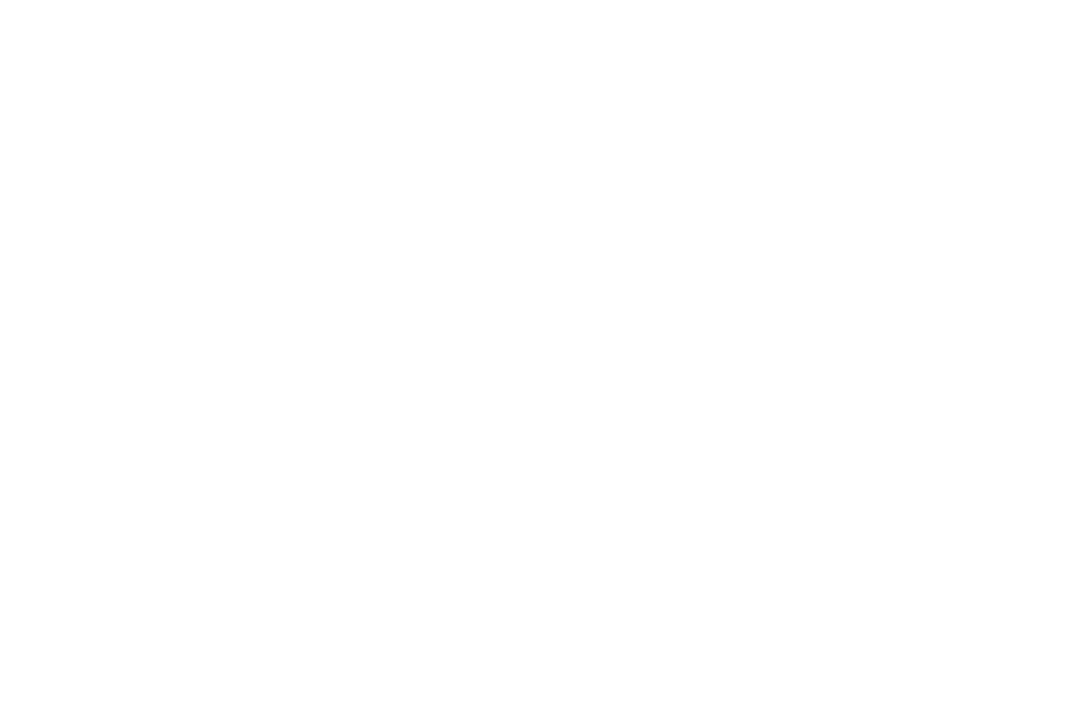 Illustrated panorama of Florence in white linework.