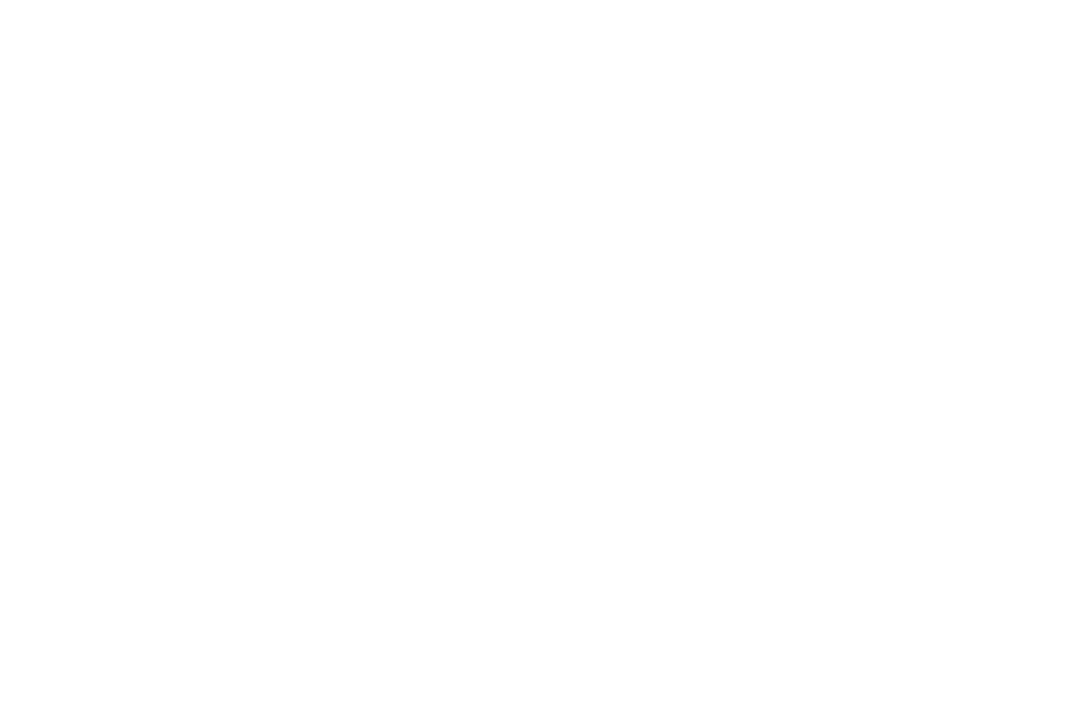Illustrated panorama of Lyon in white linework.