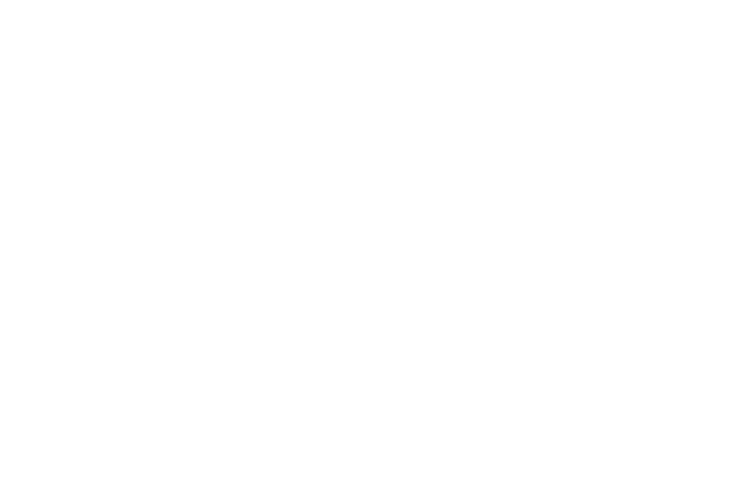 Illustrated panorama of Nuremberg in white linework.