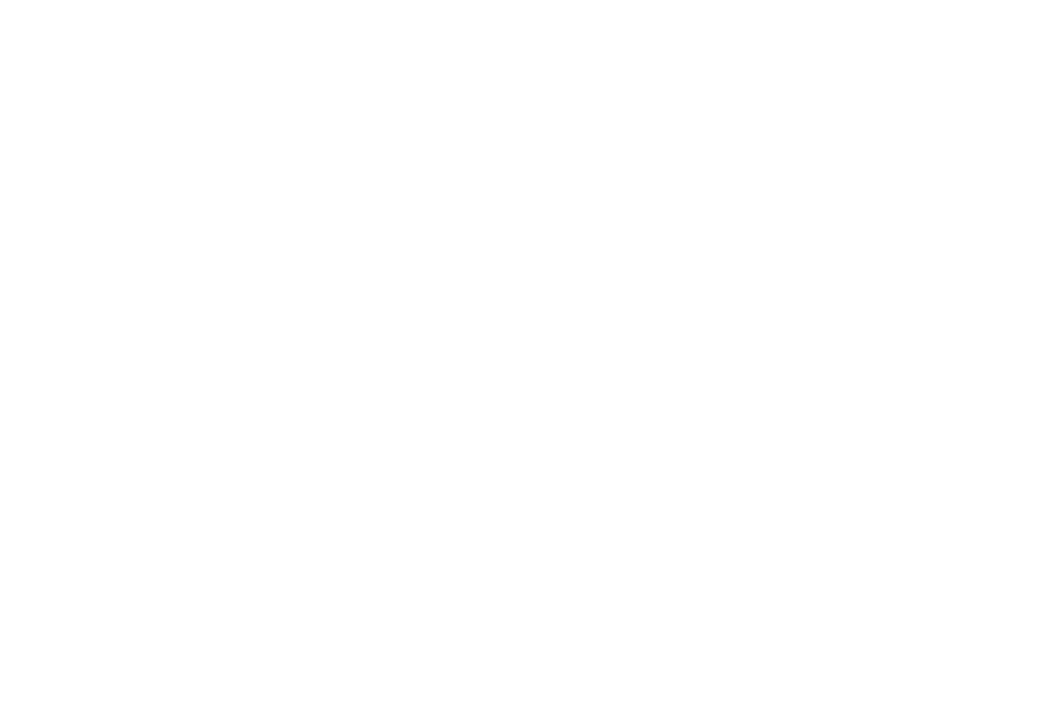 Illustrated panorama of San Francisco in white linework.