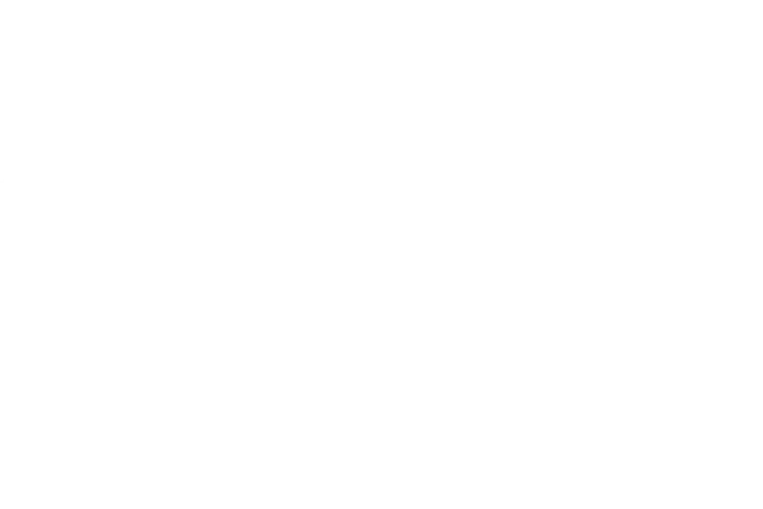 Illustriertes Sydney-Panorama aus weißen Linien.