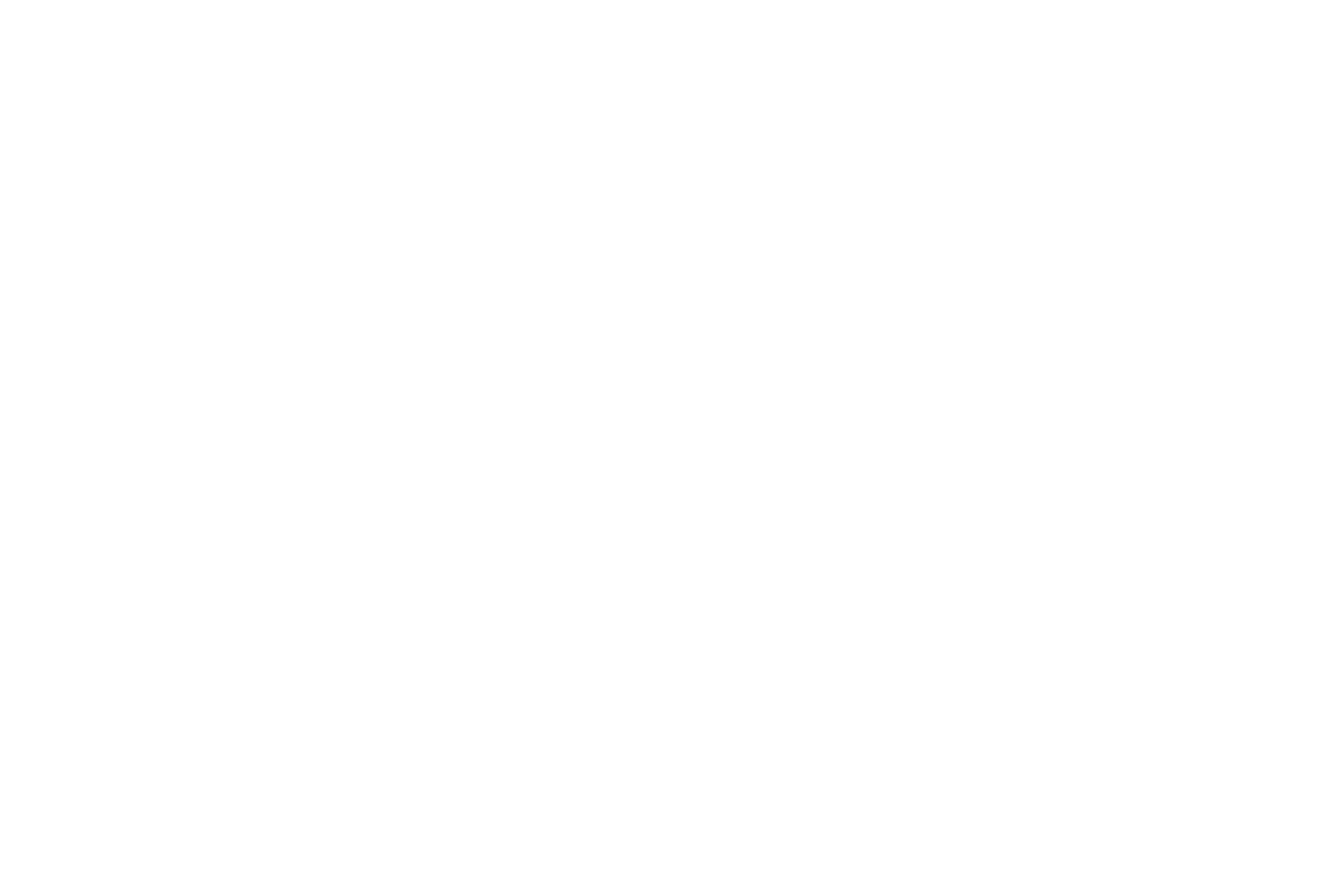 Illustrated panorama of The Hague in white linework.