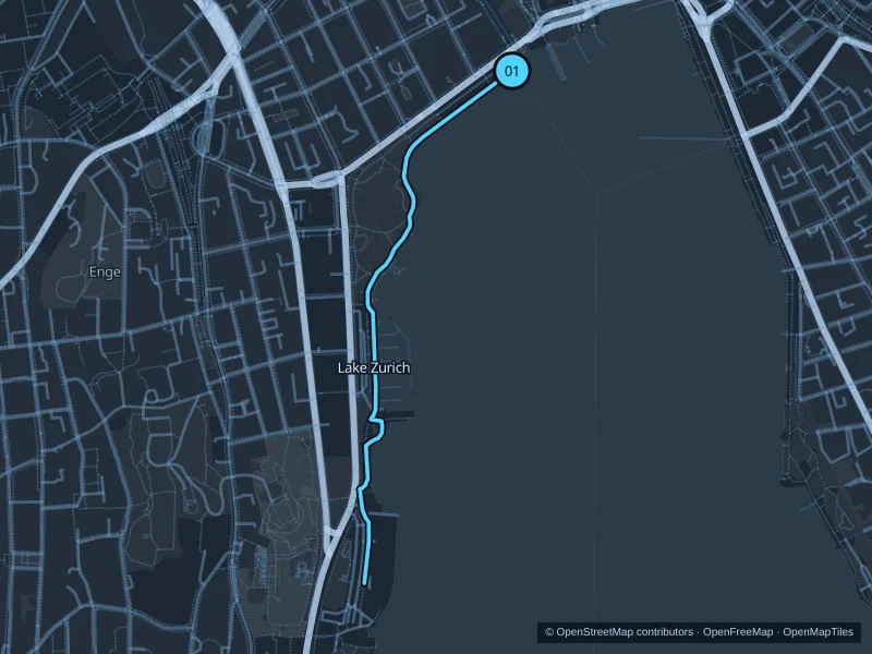 Map of the 2.5 km Lake Zurich · western shore run, with start and finish marked 01.